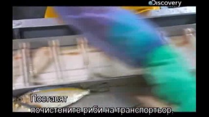 Как се прави - сардини в консерви - с Бг превод