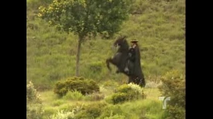 Zorro: La Espada Y La Rosa - Zorro 