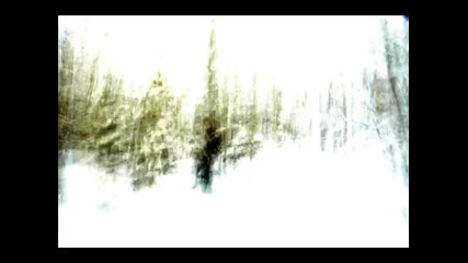 Nouvelle Vague - A Forest 