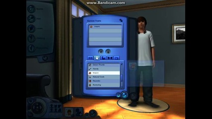 Sims 3