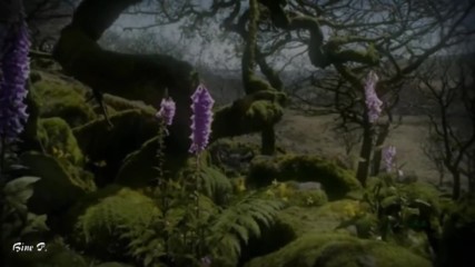 Kenio Fuke Enchanted Forest Relaxing soothing music