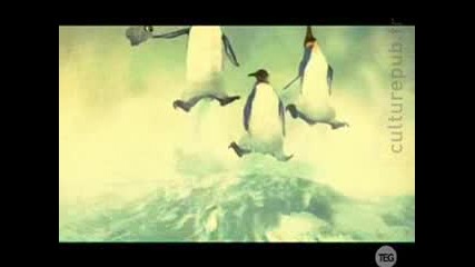 Пингвини правят глобално замръзяване