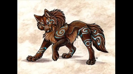 Co0l Wolf Pic 
