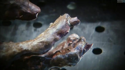 [ Trailer ] Dream of 400 Years (2011)