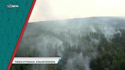 В "Социална мрежа" на 28 октомври ще видите