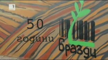 Бразди - 12 октомври 2013