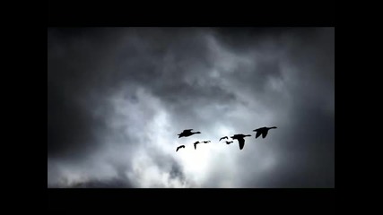 Deep Fog Feat. Iqcha - Drifting Away (blusoul Dub remix)