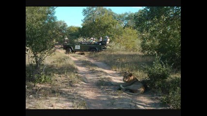 Национален парк Kruger