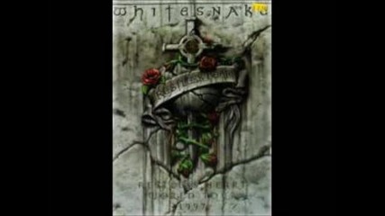 Whitesnake - Cant Stop Now 