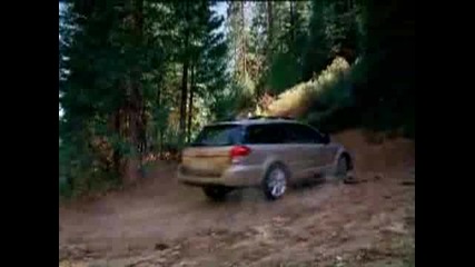 Wild - Subaru