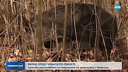 Новините на NOVA (23.07.2018 - 7.00 ч.)