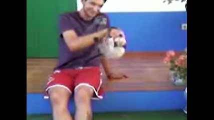 забавно котенце