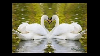 zuza