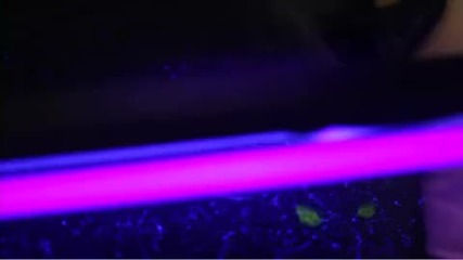 5 second film 
