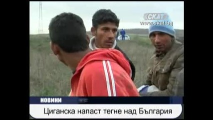 Циганска напаст !!!