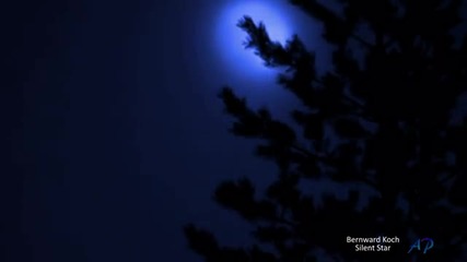 Bernward Koch - Silent Star