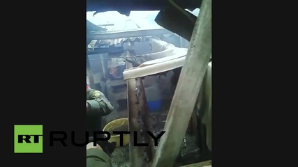 Colombia: Eight dogs saved from house fire in Pasto
