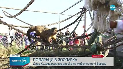 Дядо Коледа раздаде подаръци на животните в зоопарка в Бургас