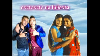 qnek sofi