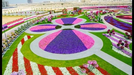 Dubai miracle garden... ...