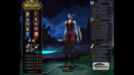 Creating A Wow Tbc Gm Charecter