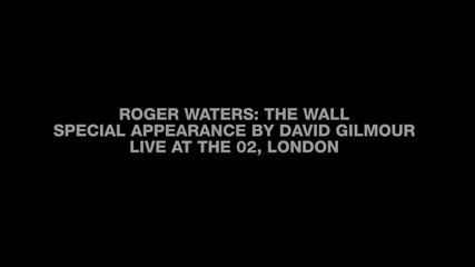 Roger Waters & David Gilmour - Comfortably Numb ( London, 2011 )