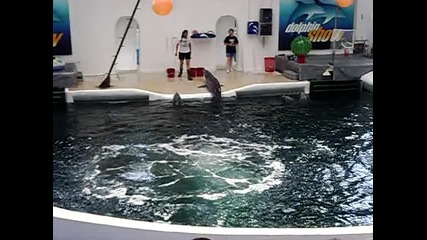 Делфинчета
