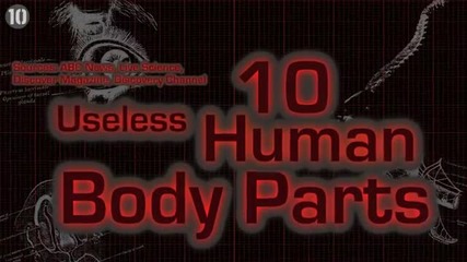 10-те най-безполезни части на тялото