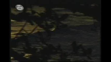 Survivor - Ден 7 Част 3