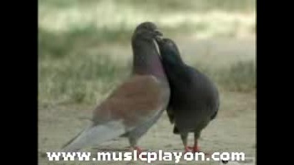 Muhabbet - Buna Nasil Alisirim
