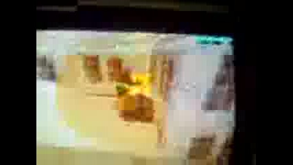 (2) .3gp 