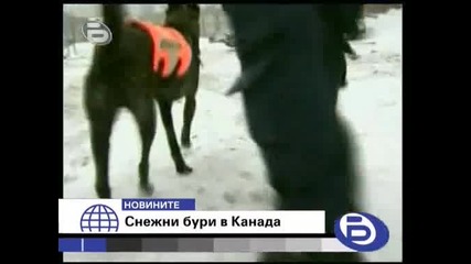 БТВ: Намерена Жена Прекарала 4 Дни Под Снега