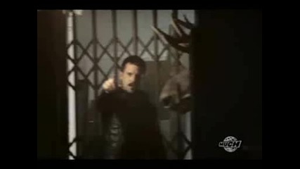 The killers Tranquilize Hq