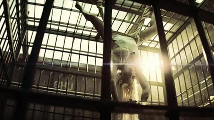 Пиетро Максимоф и Харли Куин от Отмъстителите: Ерата на Ултрон (2015) и Отряд Самоубийци (2016)