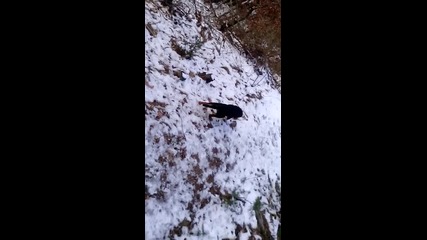 Vid_20150212_170809