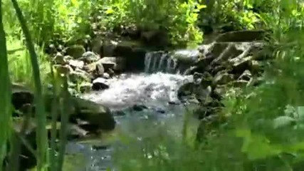 Красотата на природата 