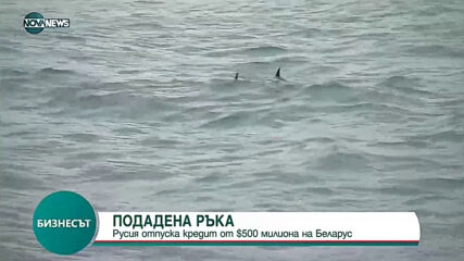 Русия отпуска кредит от 500 млн. долара на Беларус