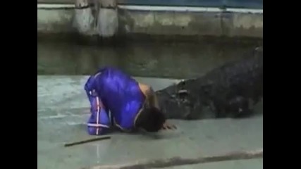 Top 15 Animal attacks