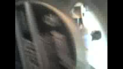 Bas4e 2