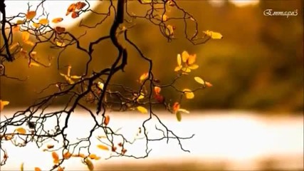 Instrumental music Anonimo Veneciano -paul Mauriat