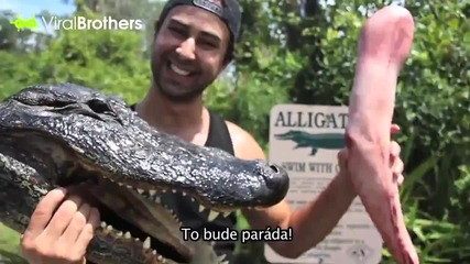 Епическа шега - Крокодилска атака