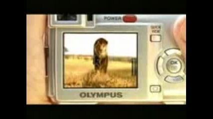 Реклама На Фотоапарат