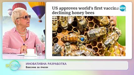 Одобриха първата ваксина за пчели
