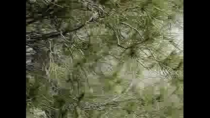 Rally Acropolis 2007