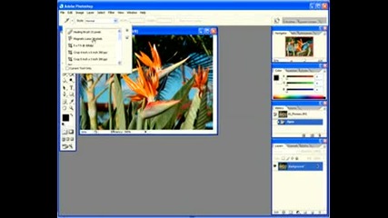 Photoshop Cs2 Tutorial Chapter 6