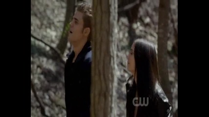 Stefan & Elena