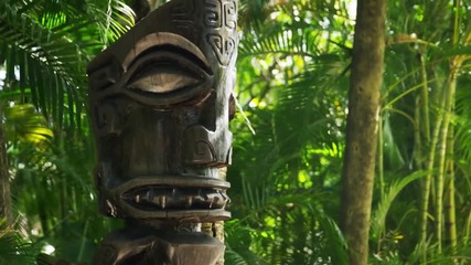 Потопете се в културата на Полинезия!