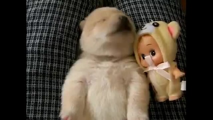 Малко кученце спи и сънува!!!