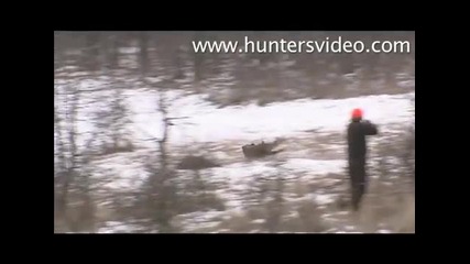 Wild Boar Fever 3 - Hunters Video