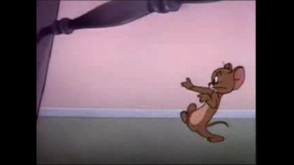 Tom And Jerry